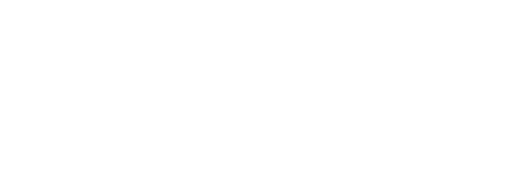 Lappsus